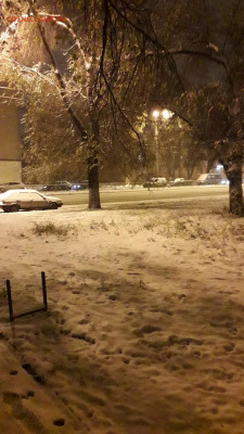 делает - прямо сейчас !!! - Screenshot_20191031-212822_Gallery