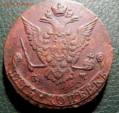 1788. 5 копеек. ЕМ. MS62BN PCGS Оценка. Спрос. - 75-2 (1)