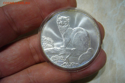 3 рубля 1995 Соболь - 04-11-19 - 23-10 мск - P2180979.JPG