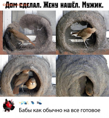 юмор - Y24F98GUrFE