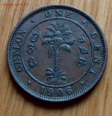 Цейлон 1 цент 1906 Эдуард VII до 22-00 05.11 - IMAG3900_2