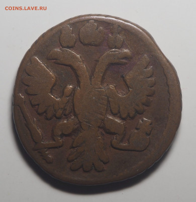 Полушки и денги 1731-1750 - P9271947