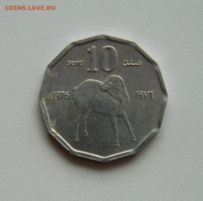 Сомали 10 центов 1976 года (Фауна)без оборота. до 07.11.2019 - DSCN9974.JPG