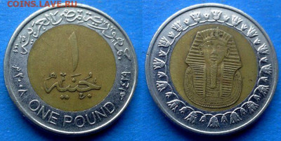 Египет - 1 фунт 2008 года (БИМ) до 9.11 - Египет 1 фунт, 2008