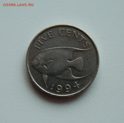 Бермудские острова 5 центов 1994 г. (Фауна). до 07.11.19 - DSCN9945.JPG