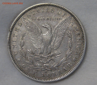 США 1 доллар 1882 Доллар Моргана до 06.11.19 (ср. 22-30) - DSC09059.JPG