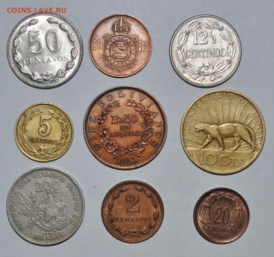 Латиноамериканская солянка 7 ,нечастая.7.11.2019 22.00 - 5.JPG