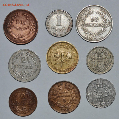 Латиноамериканская солянка 8 ,нечастая.7.11.2019 22.00 - 7.JPG