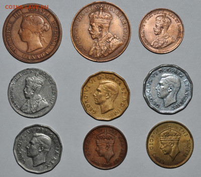 Канадская солянка ,нечастая.7.11.2019 22.00 - 2.JPG