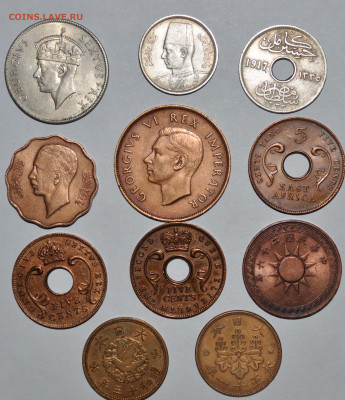 Африкано-Азиатская солянка,нечастая.7.11.2019 22.00 - 4.JPG