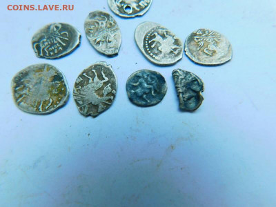 несколько чешуек разных правителей. - 28441952