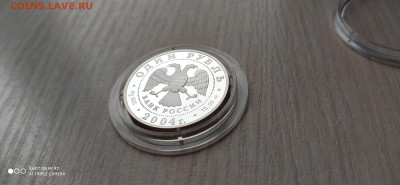 Красная книга 1 Рубль 2004 Амурский лесной кот до 11.11 - IMG_20191105_155744