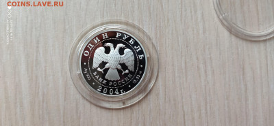 Красная книга 1 Рубль 2004 Амурский лесной кот до 11.11 - IMG_20191105_155736