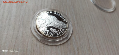 Красная книга 1 Рубль 2004 Амурский лесной кот до 11.11 - IMG_20191105_155653