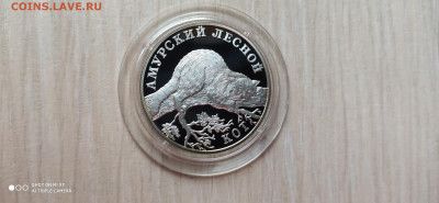Красная книга 1 Рубль 2004 Амурский лесной кот до 11.11 - IMG_20191105_155706