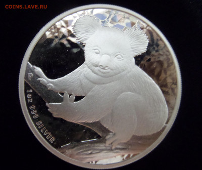 1 доллар 2009 Коала Австралия с 200 р до 22:00 07.11.2019 - SAM_5263-min.JPG