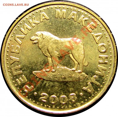 B74 Македония 1 денар 2008 (собака) до 03.08 в 22°° - B74 Macedonia 1 d 2008_2