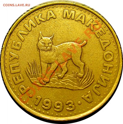 B76 Македония 5 денаров 1993 (рысь) до 03.08 в 22°° - B76 Macedonia 5 d 1993_2