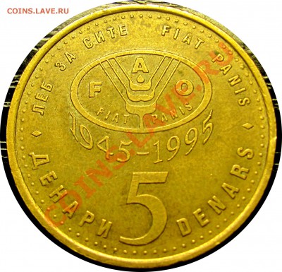 B79 Македония 5 денаров 1995 F.A.O. (рысь) до 03.08 в 22°° - B79 Macedonia 5 d FAO 1995_1