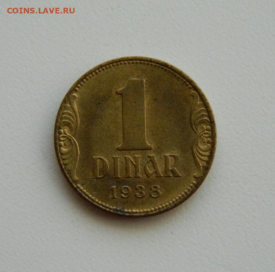 Югославия 1 динар  1938 года (без оборота). до 12.11.2019 - DSCN9899.JPG