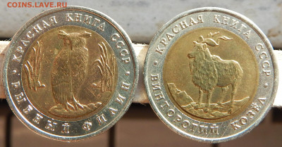 КК 1991г. 2 монеты (набор) - DSCN2871.JPG