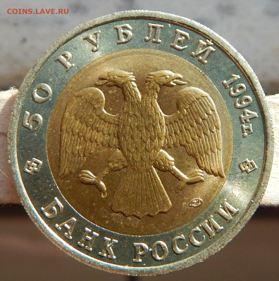 КК 1994г. Джейран - DSCN2872.JPG