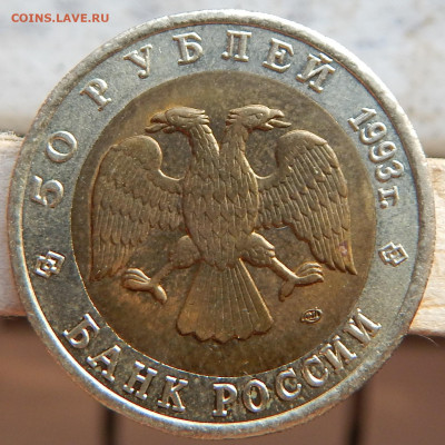 КК 1993г. Афалина - DSCN2880.JPG