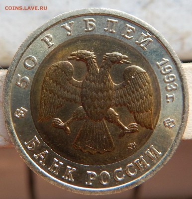 КК 1993г. Аист - DSCN2882.JPG