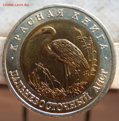 КК 1993г. Аист - DSCN2883.JPG