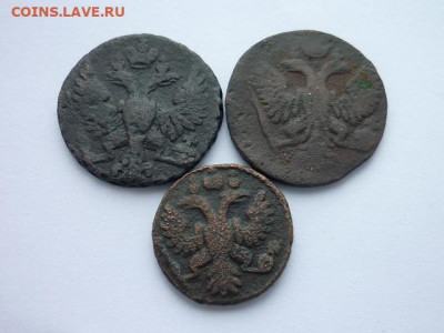 Денга РИ 1748, 1753, полушка 1735, до 10.11.19г., 21.00 - P1040280.JPG