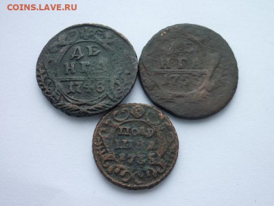 Денга РИ 1748, 1753, полушка 1735, до 10.11.19г., 21.00 - P1040278.JPG