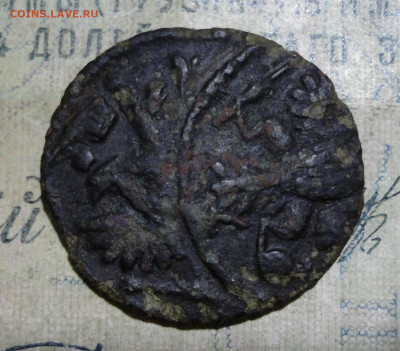 Полушка 1735 года брак? - DSC05417.JPG