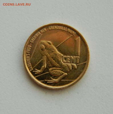Сейшелы 1 цент 2016 года (Фауна)без оборота. до 12.11.2019 - DSCN9969.JPG