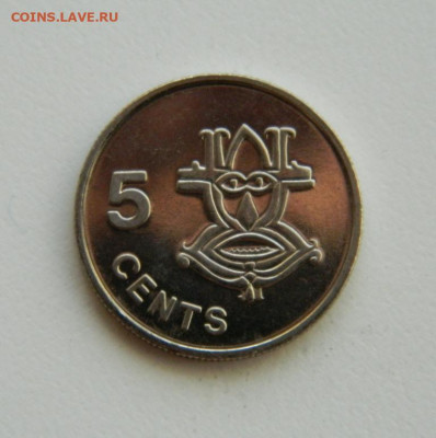 Соломоновы острова 5 центов 1996 г.(без оборота) до 12.11.19 - DSCN9957.JPG