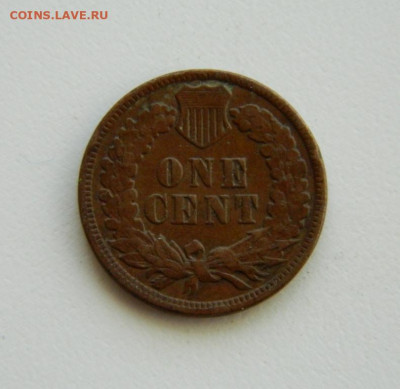 США 1 цент 1901 года (Индеец). до 12.11.2019 - DSCN9958.JPG