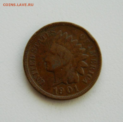 США 1 цент 1901 года (Индеец). до 12.11.2019 - DSCN9959.JPG