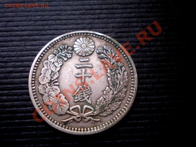 50 SEN Прошу опознать и оценить - P7294419.JPG