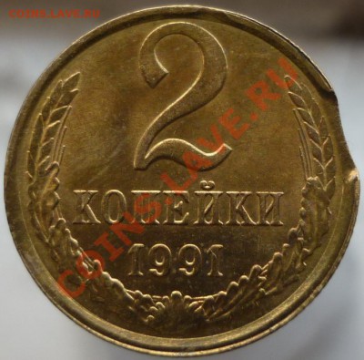 2 копейки 1991 год (выкус) - P1050168.JPG