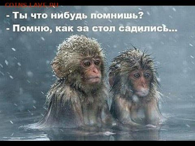 юмор - i
