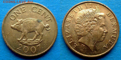 Бермуды - 1 цент 2007 года (Фауна) до 14.11 - Бермуды 1 цент, 2007