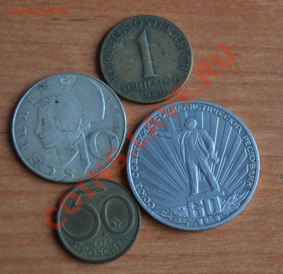 Подарю - DSC_0847.JPG