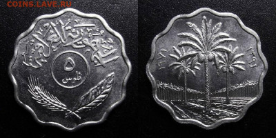 МОНЕТЫ МИРА 10-19 - Ирак – 5 филсов (1971)