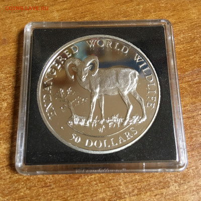 острова Кука 50 долларов Баран 1990г ПРУФ - IMG_5691.JPG