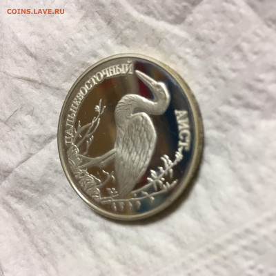 Россия 1 рубль Аист 1995г ПРУФ - IMG_5715.JPG