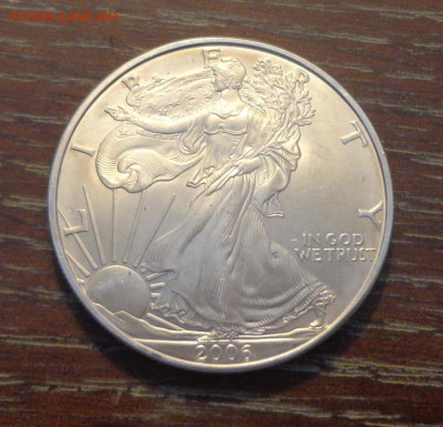 США - Шагающая Свобода 2006 до 15.11, 22.00 - Шагающая свобода 2006_1.JPG