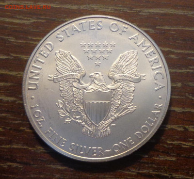 США - Шагающая Свобода 2009 до 15.11, 22.00 - Шагающая свобода 2009_2.JPG