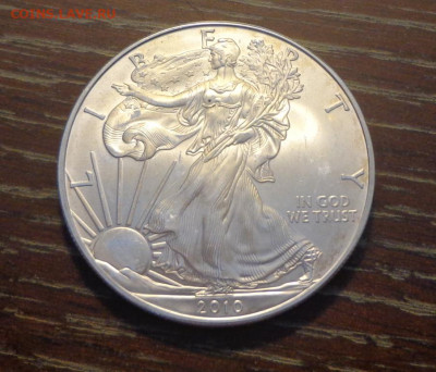 США - Шагающая Свобода 2010 до 15.11, 22.00 - Шагающая свобода 2010_1.JPG