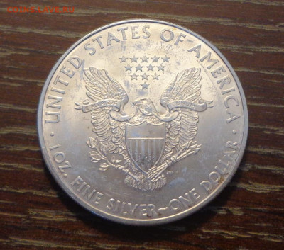 США - Шагающая Свобода 2010 до 15.11, 22.00 - Шагающая свобода 2010_2.JPG