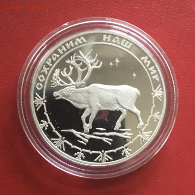 3 рубля 2004 года Северный олень. До 15.11.2019 в 22-00 МСК - C7A3B660-85EC-4C78-8814-C49DD99C32DA