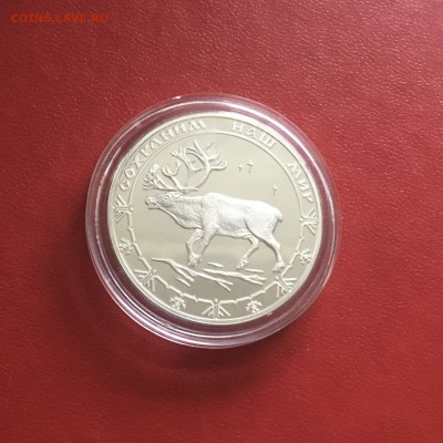 3 рубля 2004 года Северный олень. До 15.11.2019 в 22-00 МСК - 69A7DFCA-AAEE-45F6-8D96-6F67C43E0453